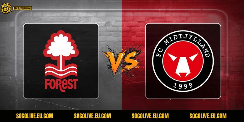 Trận đấu sắp tới hứa hẹn sẽ rất hấp dẫn